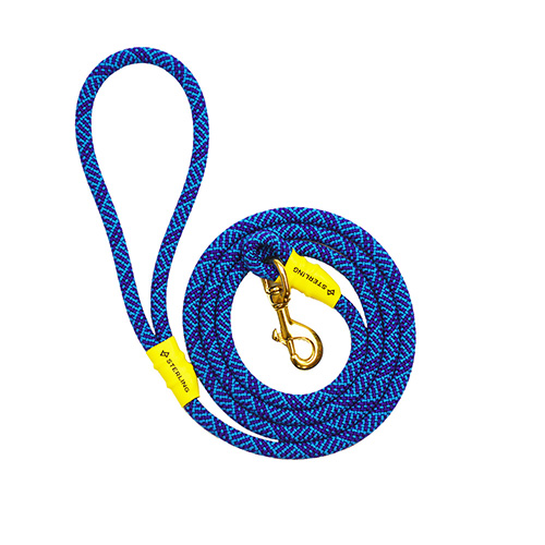 Dog Leash, Any Color